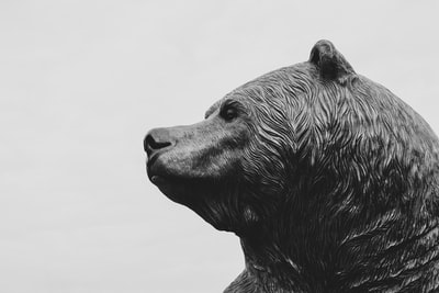 熊雕像